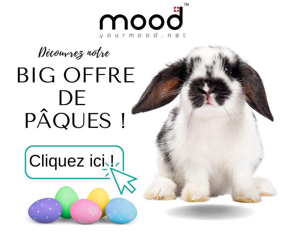 Notre big Offre de Pâques : une base en cadeau !