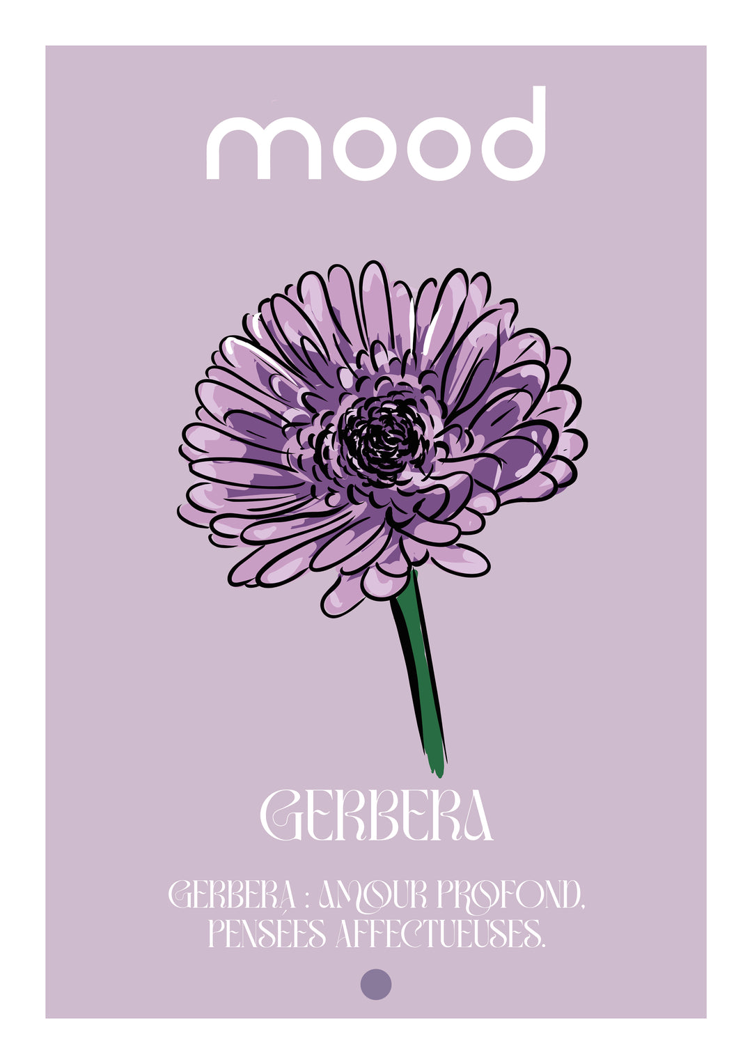 Medium acier Gerbera signification