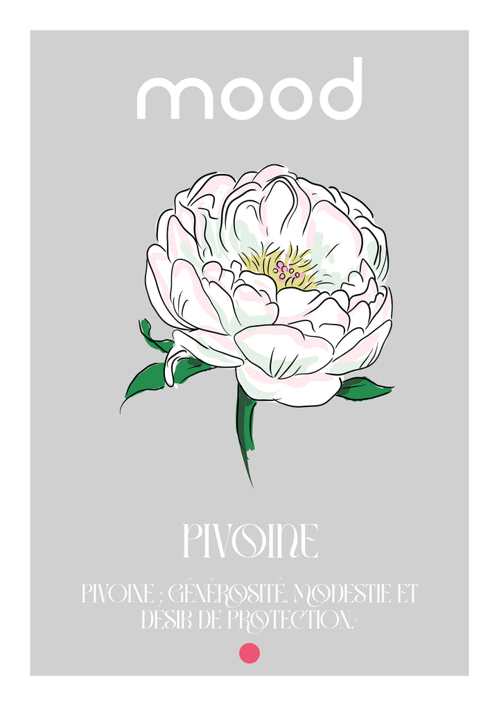 Medium acier Pivoine signification