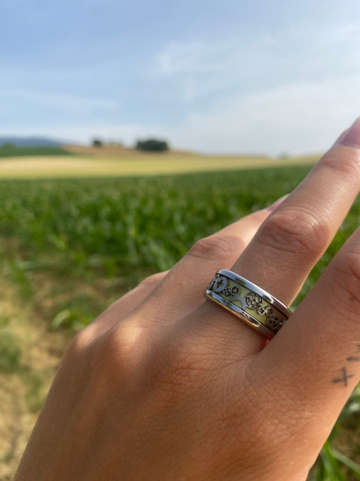 Addon de la communauté : Deux tiers 3D Schweizer Uhr